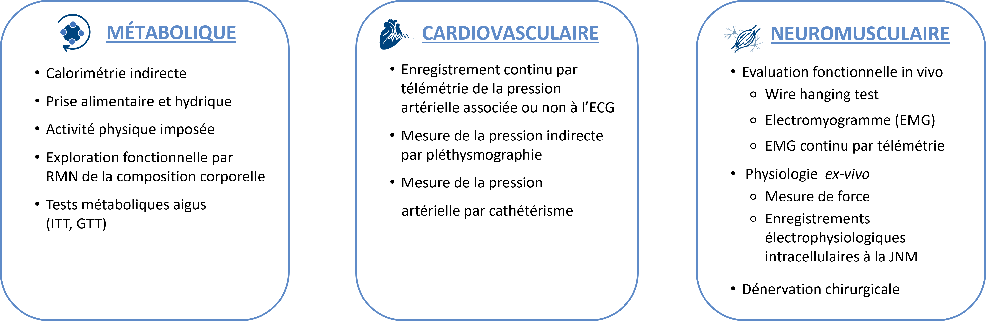 Prestations proposées par ANIPHY