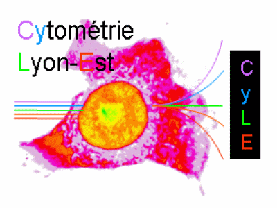 Cytométrie