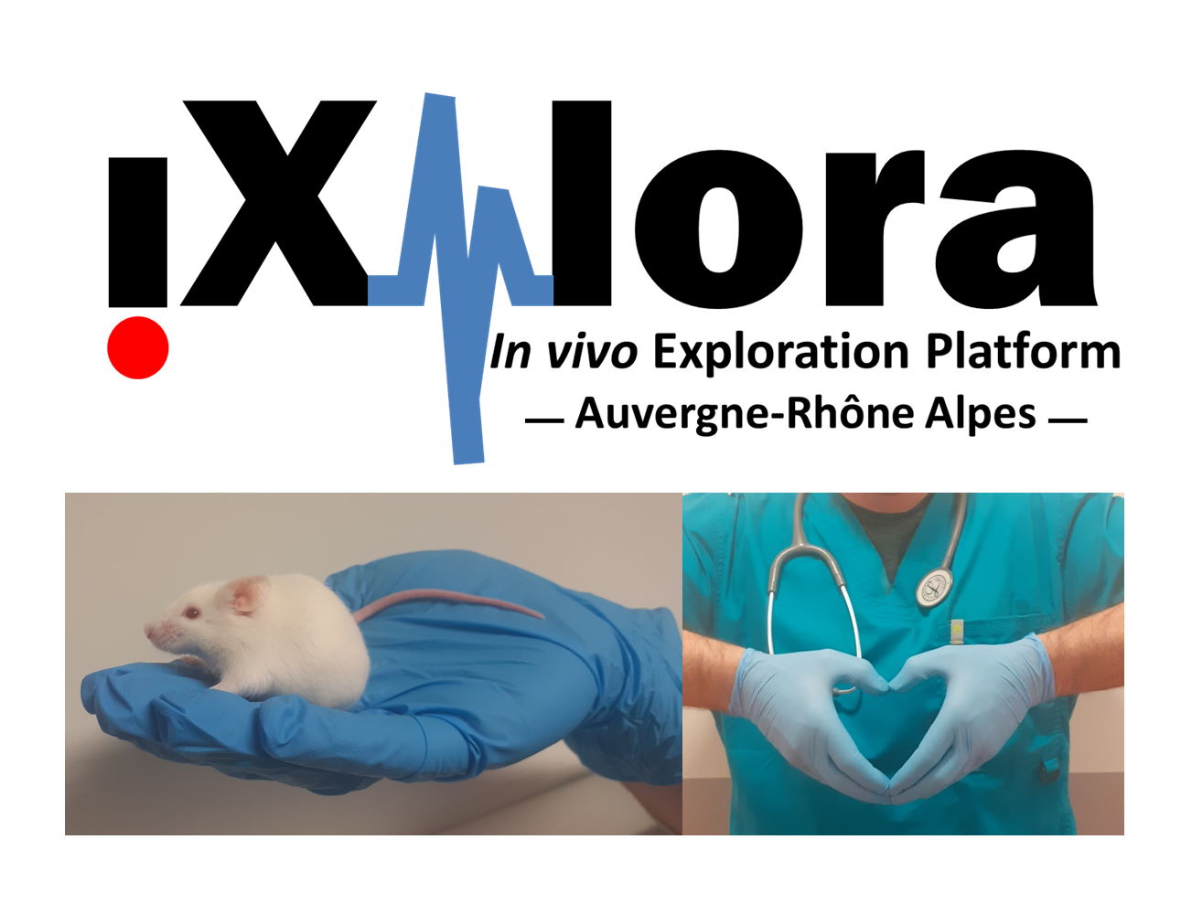 iXplora