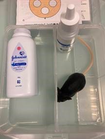 Mannequin d'entraînement pour les manipulations sur des souris