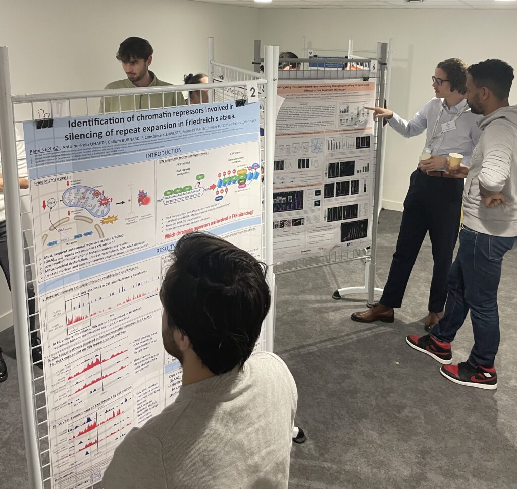 Posters des doctorants